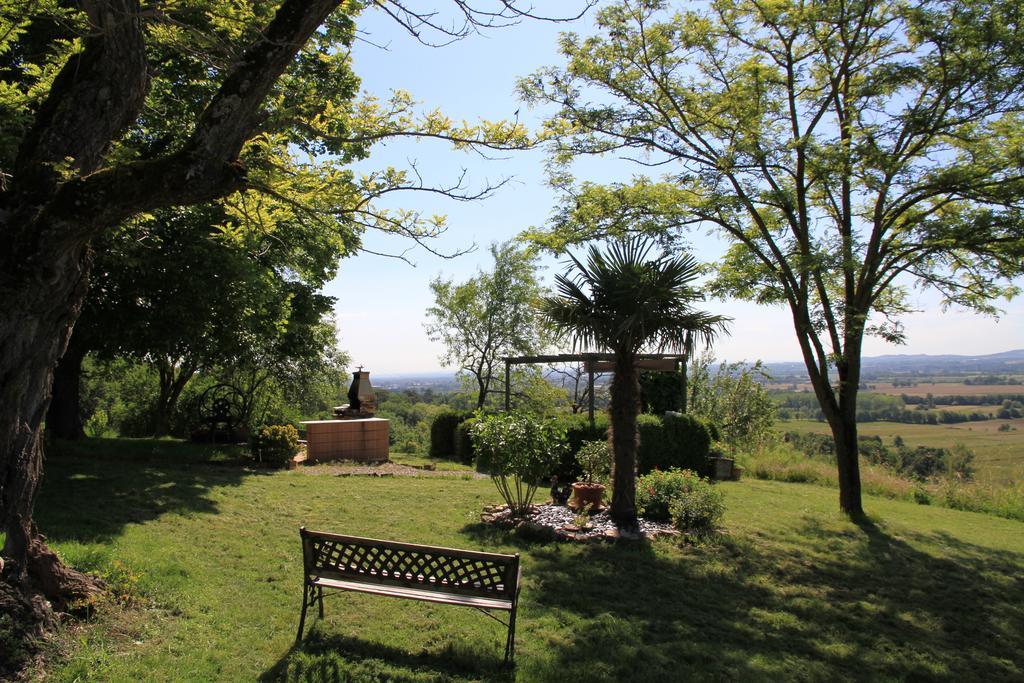 La Pigario Bed & Breakfast Lisle-sur-Tarn Bagian luar foto
