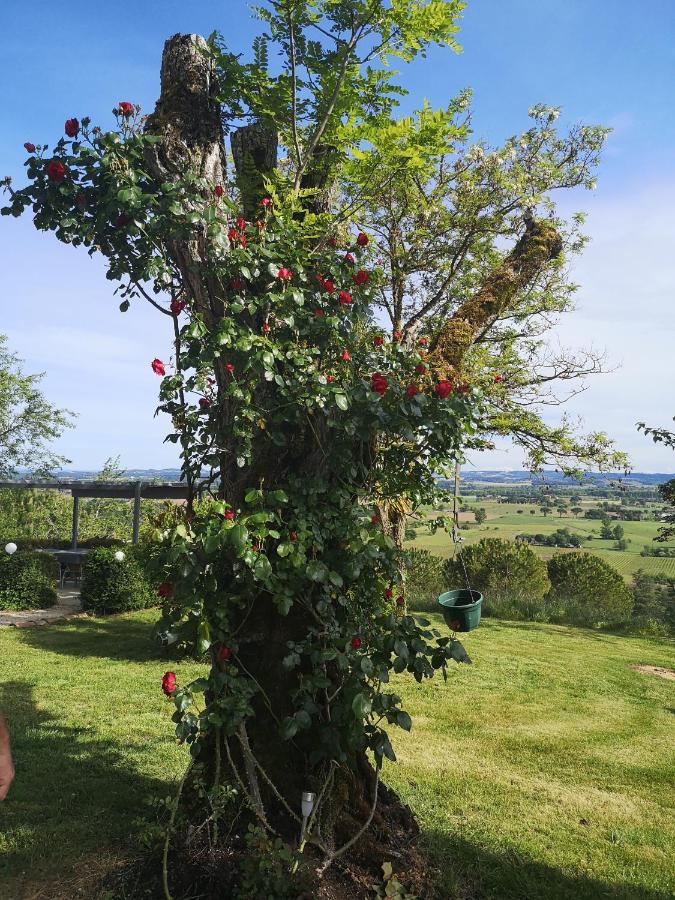 La Pigario Bed & Breakfast Lisle-sur-Tarn Bagian luar foto